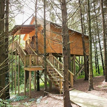 Whispering Pines Treehouse By Amish Country Lodging ميلزبورغ المظهر الخارجي الصورة