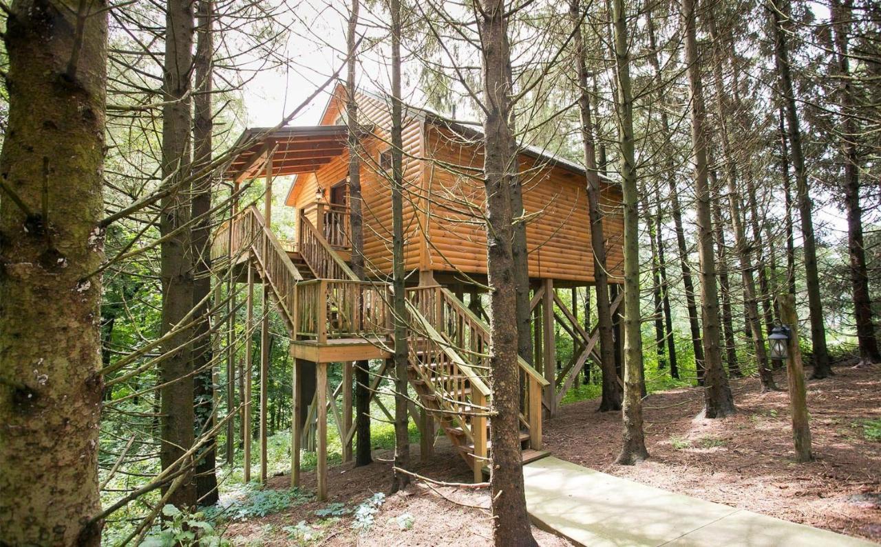 Whispering Pines Treehouse By Amish Country Lodging ميلزبورغ المظهر الخارجي الصورة