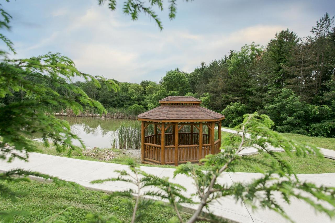 Whispering Pines Treehouse By Amish Country Lodging ميلزبورغ المظهر الخارجي الصورة